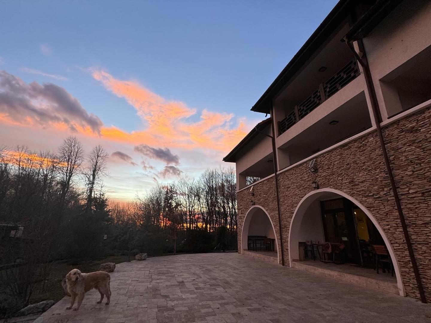 Cetatuia Otel Magura  Dış mekan fotoğraf