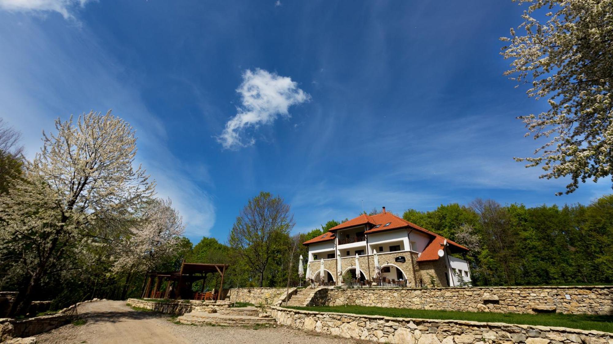 Cetatuia Otel Magura  Dış mekan fotoğraf